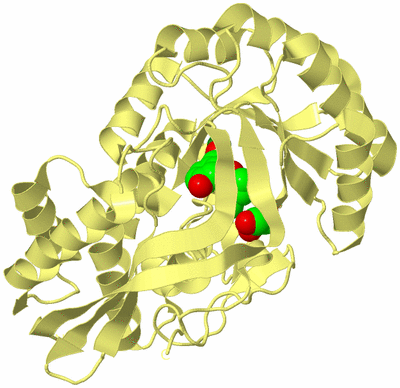 Image Biological Unit 4