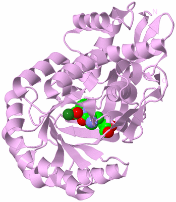 Image Biological Unit 5