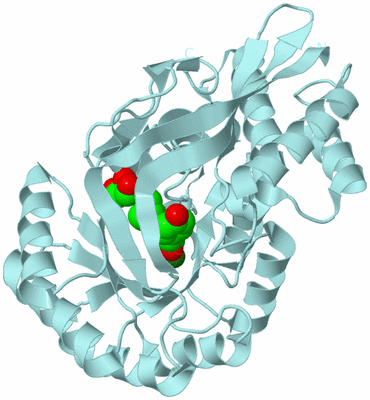 Image Biological Unit 6