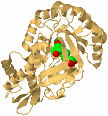 Image Biological Unit 7