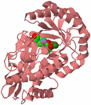 Image Biological Unit 8