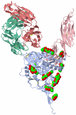 Image Asym./Biol. Unit