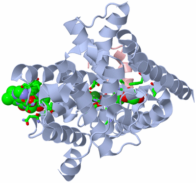 Image Biol. Unit 1 - sites