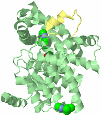 Image Biological Unit 2