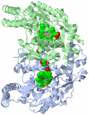 Image Asym./Biol. Unit