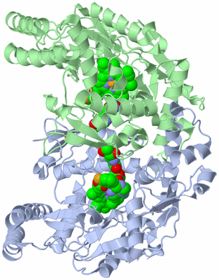 Image Asym./Biol. Unit