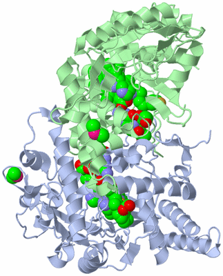 Image Asym./Biol. Unit