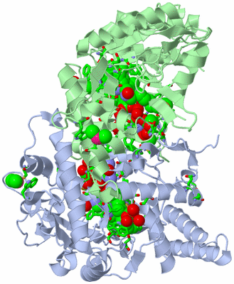 Image Asym./Biol. Unit - sites