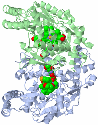 Image Asym./Biol. Unit