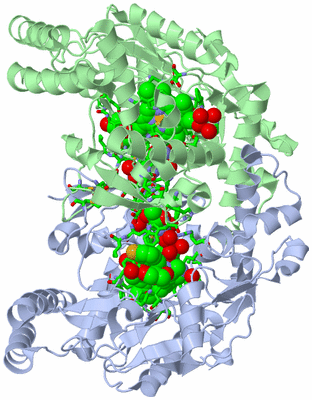 Image Asym./Biol. Unit - sites