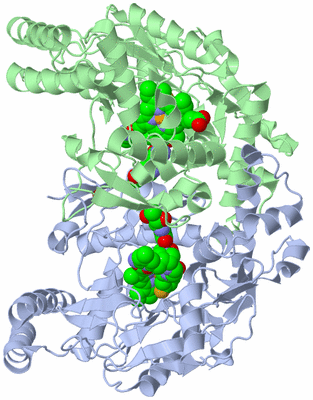 Image Asym./Biol. Unit