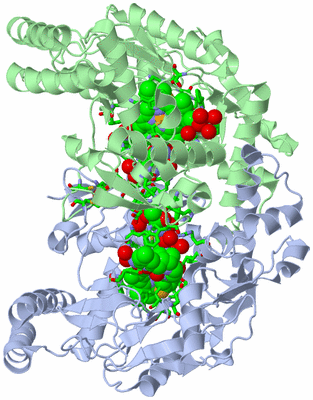 Image Asym./Biol. Unit - sites