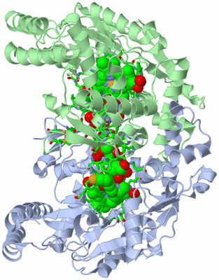 Image Asym./Biol. Unit - sites