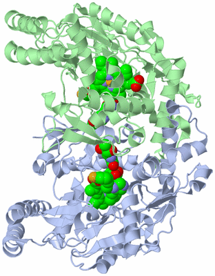 Image Asym./Biol. Unit