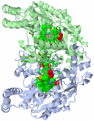 Image Asym./Biol. Unit - sites