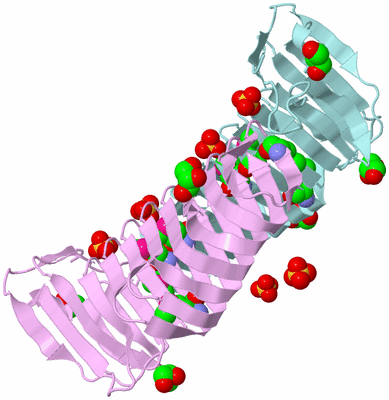 Image Biological Unit 3