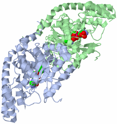 Image Asym./Biol. Unit