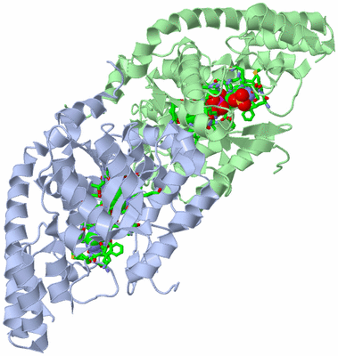 Image Asym./Biol. Unit - sites