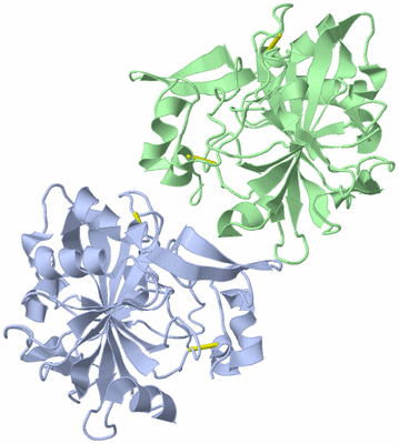Image Asymmetric Unit