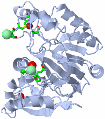 Image Biol. Unit 1 - sites