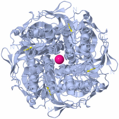 Image Biological Unit 1