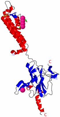 Image Asym. Unit - sites