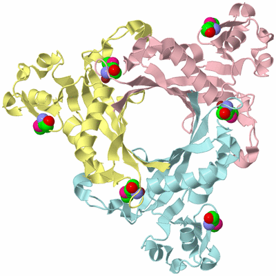 Image Biological Unit 2