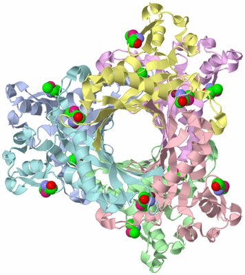 Image Biological Unit 3