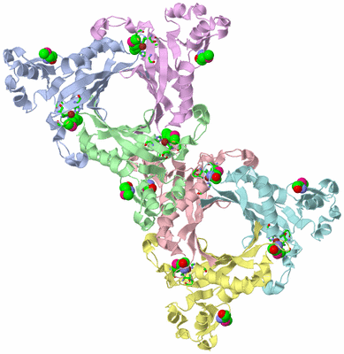 Image Asym. Unit - sites