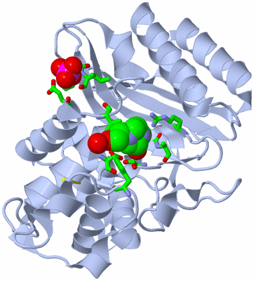 Image Biol. Unit 1 - sites