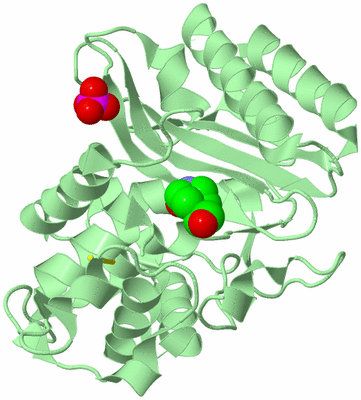 Image Biological Unit 2