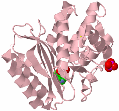 Image Biological Unit 3