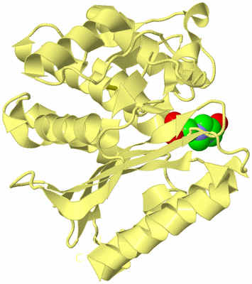 Image Biological Unit 4