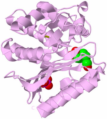 Image Biological Unit 5