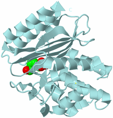 Image Biological Unit 6