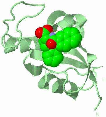 Image Biological Unit 2