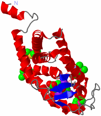 Image Asym./Biol. Unit