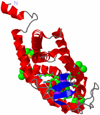 Image Asym./Biol. Unit - sites