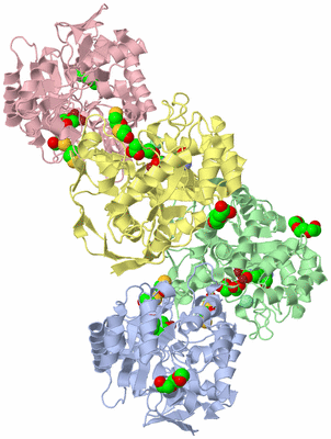 Image Biological Unit 1