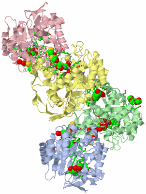 Image Biol. Unit 1 - sites