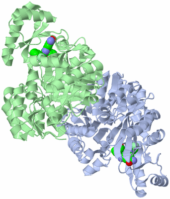 Image Asym./Biol. Unit