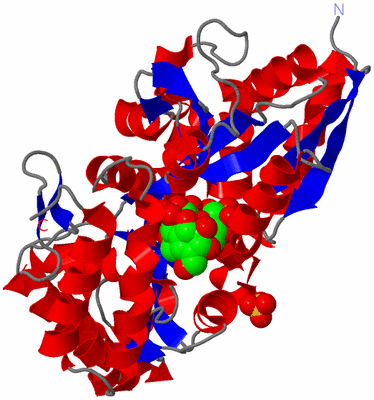 Image Asym./Biol. Unit