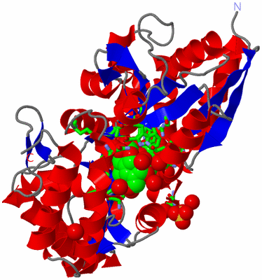 Image Asym./Biol. Unit - sites