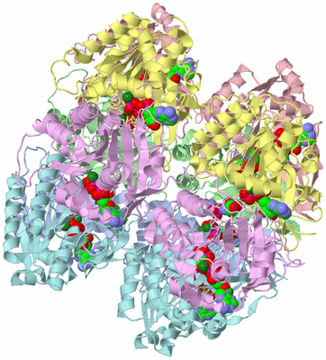 Image Asym./Biol. Unit