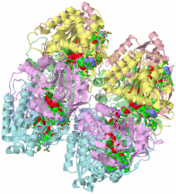 Image Asym./Biol. Unit - sites