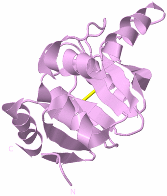 Image Biological Unit 5