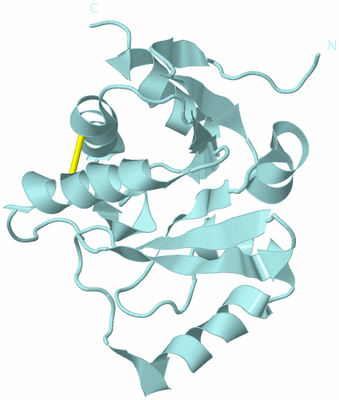 Image Biological Unit 6