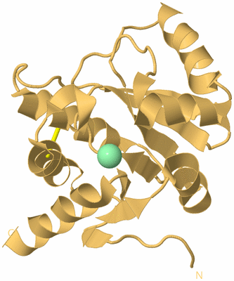 Image Biological Unit 7