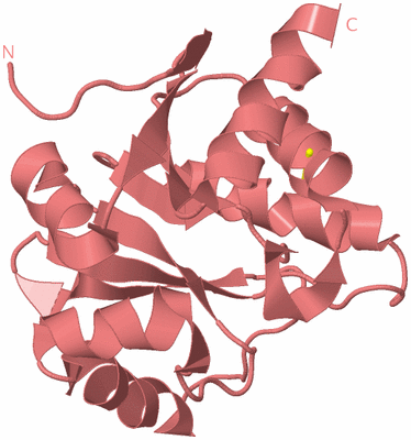 Image Biological Unit 8