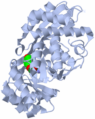 Image Biological Unit 1